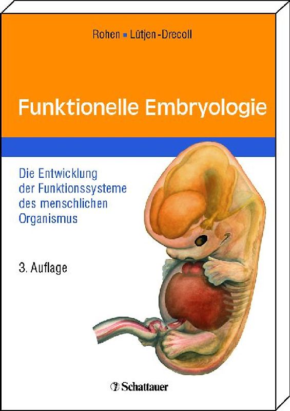 Funktionelle Embryologie