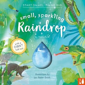 Small, Sparkling Raindrop