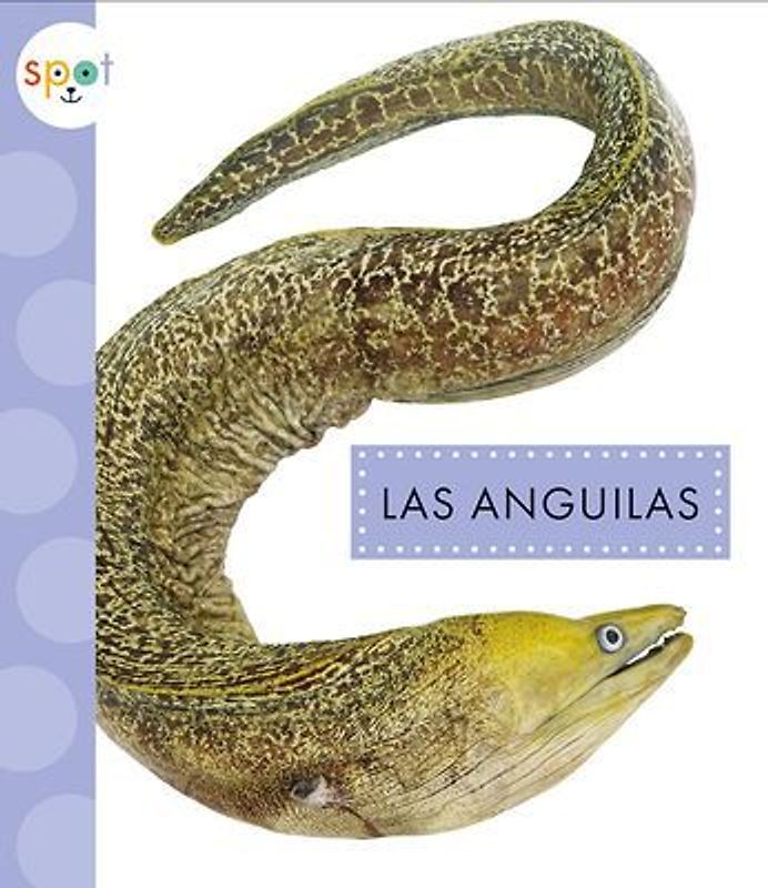 Las Anguilas