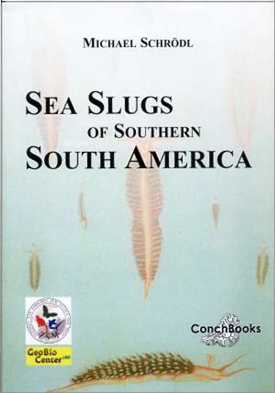 Sea slugs of southern South America