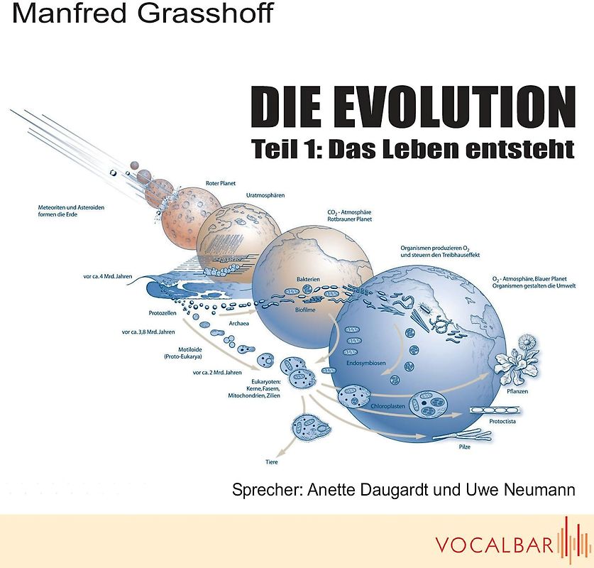 Die Evolution (Teil 1)