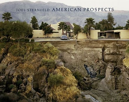 American Prospects - Revised Edition