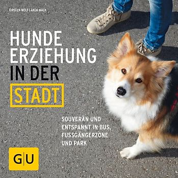 Hundeerziehung in der Stadt