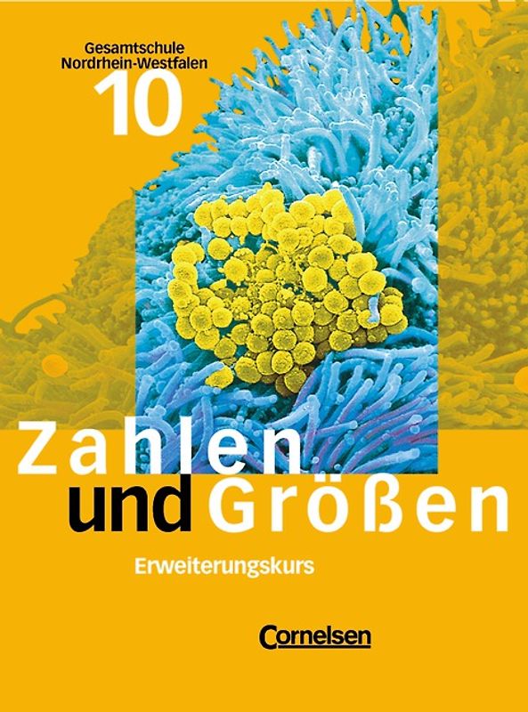 Zahlen und Größen - Gesamtschule Nordrhein-Westfalen / 10. Schuljahr - Erweiterungskurs - Schülerbuch