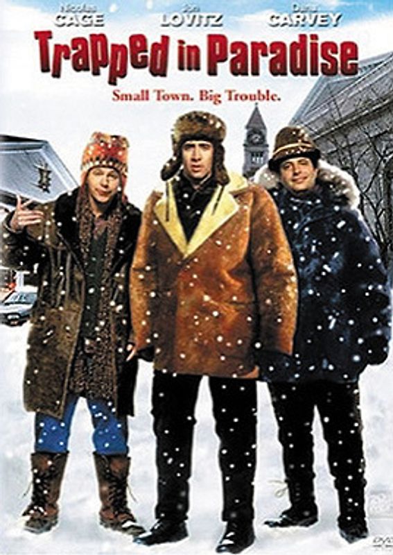 Trapped in Paradise - Schneesturm im Paradies DVD