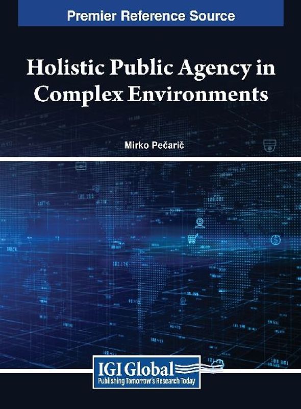 Holistic Public Agency in Complex Environments