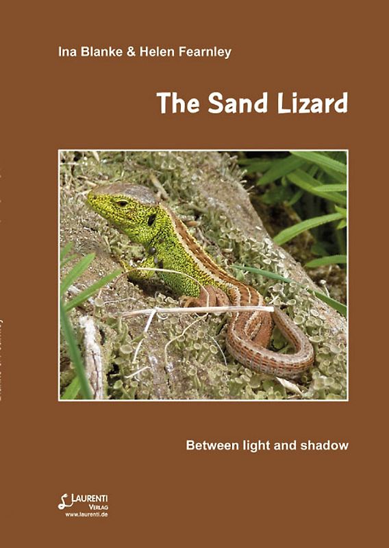The Sand Lizard