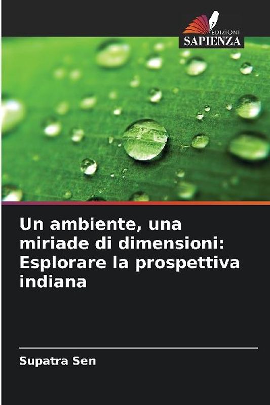 Un ambiente, una miriade di dimensioni: Esplorare la prospettiva indiana