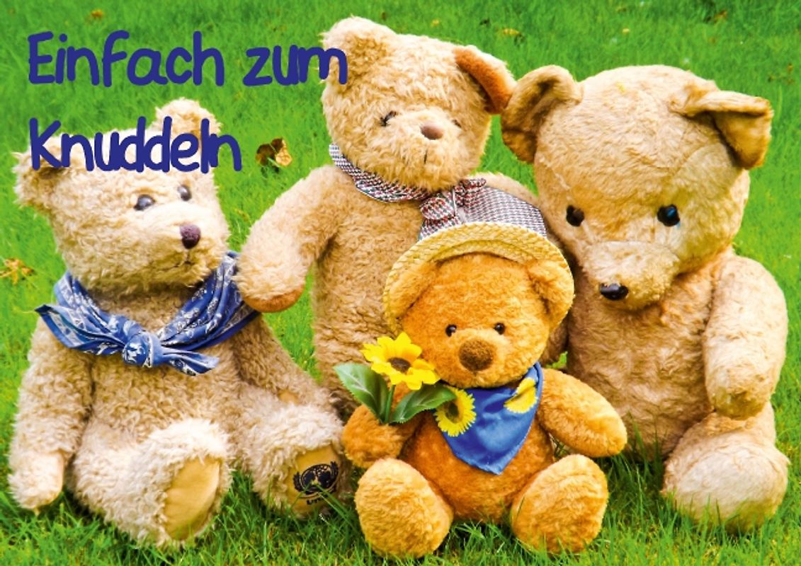 Einfach zum Knuddeln. (Posterbuch DIN A3 quer)