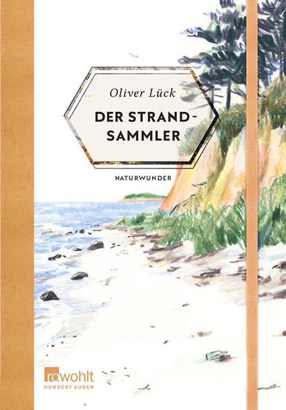 Der Strandsammler