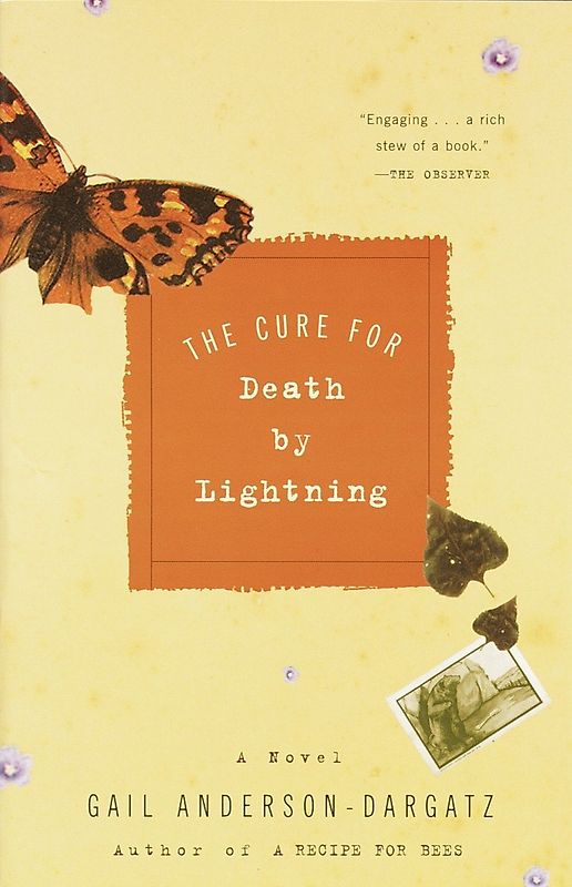 The Cure for Death by Lightning - Gail Anderson-Dargatz [Paperback]