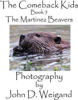 The Comeback Kids, Book 5, The Martinez Beavers