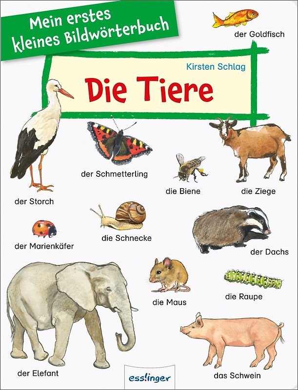 Mein erstes kleines Bildwörterbuch: Die Tiere