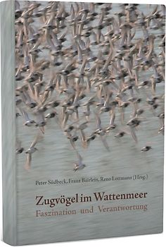 Zugvögel im Wattenmeer