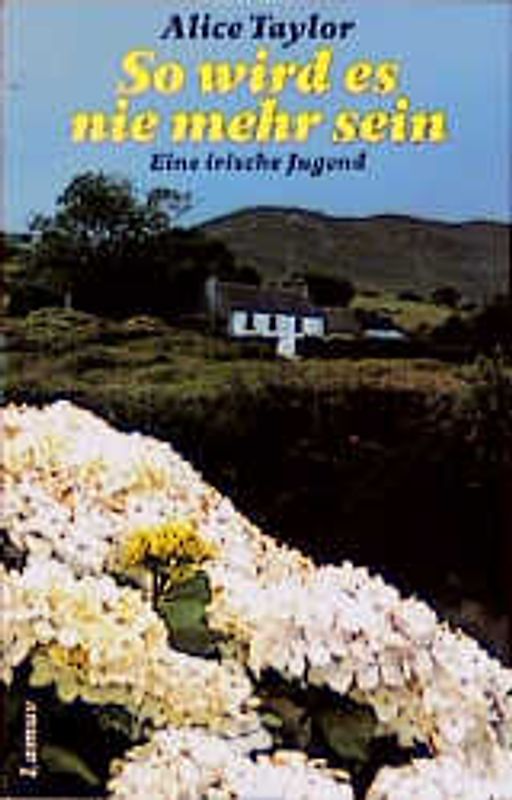 So wird es nie mehr sein. Eine irische Jugend