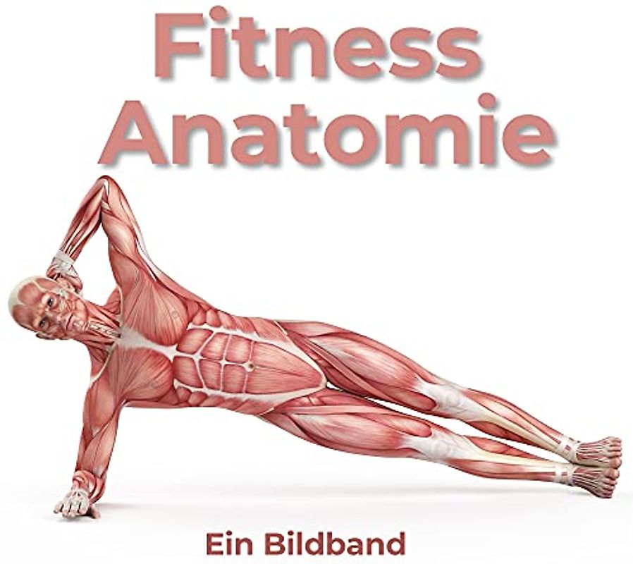 Fitness Anatomie