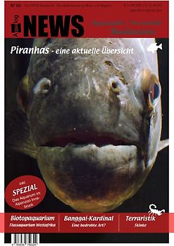 News Bookazine Nr.: 5 (Herbst 2018)