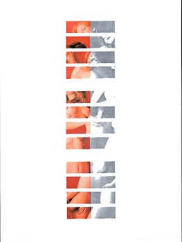 lesebilder /bildgedichte