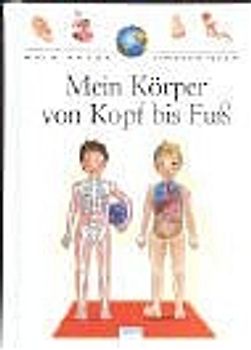 Mein Körper von Kopf bis Fuß