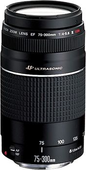 Canon EF 75-300 mm F4.0-5.6 USM III 58 mm Objectif (adapté à Canon EF) noir