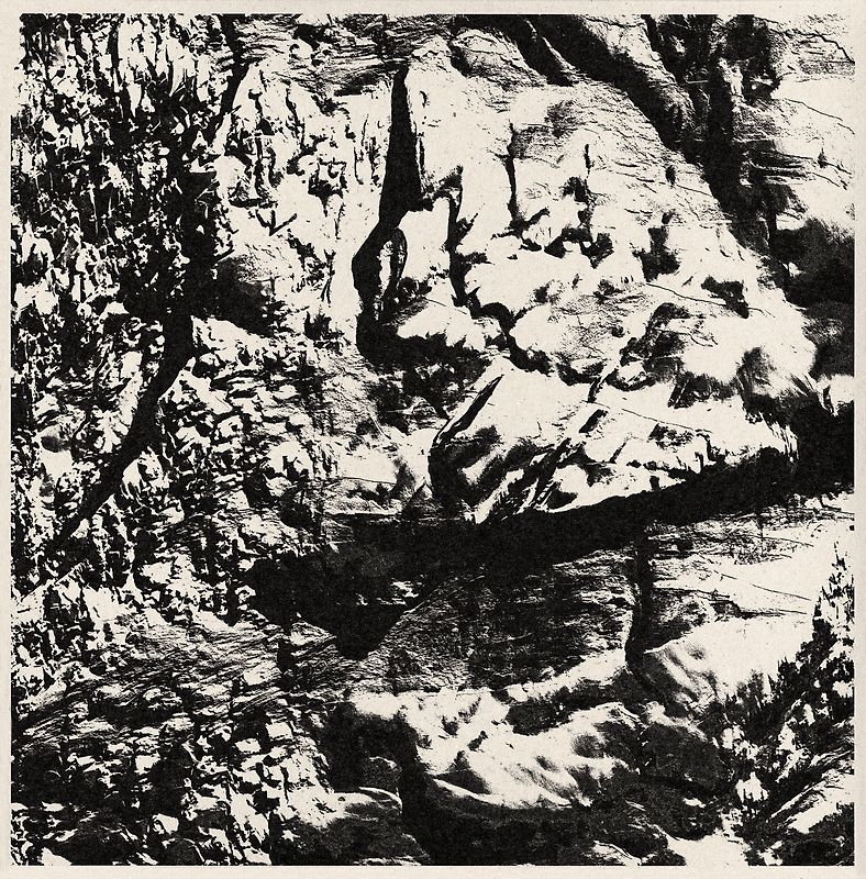 Light. Special Edition