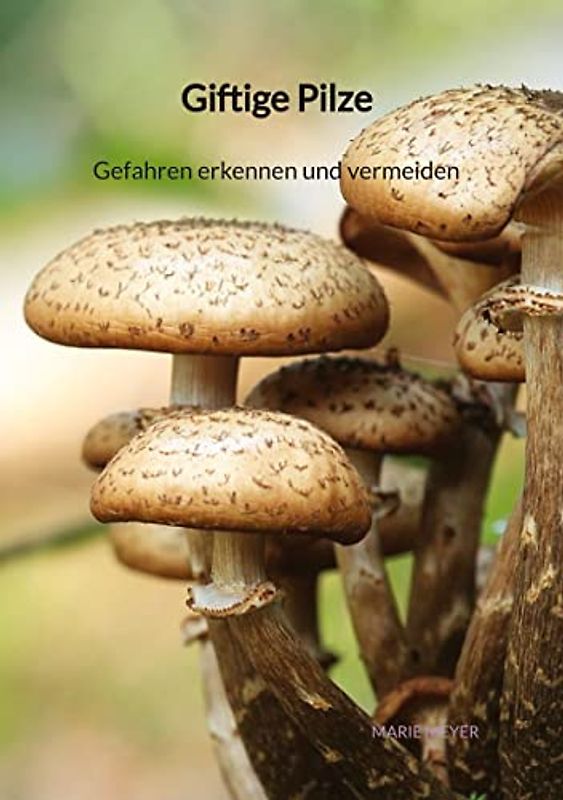 Giftige Pilze - Gefahren erkennen und vermeiden