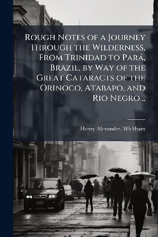 Rough Notes of a Journey Through the Wilderness, From Trinidad to ParaÌ, Brazil, by Way of the Great Cataracts of the Orinoco, Atabapo, and Rio Negro ..