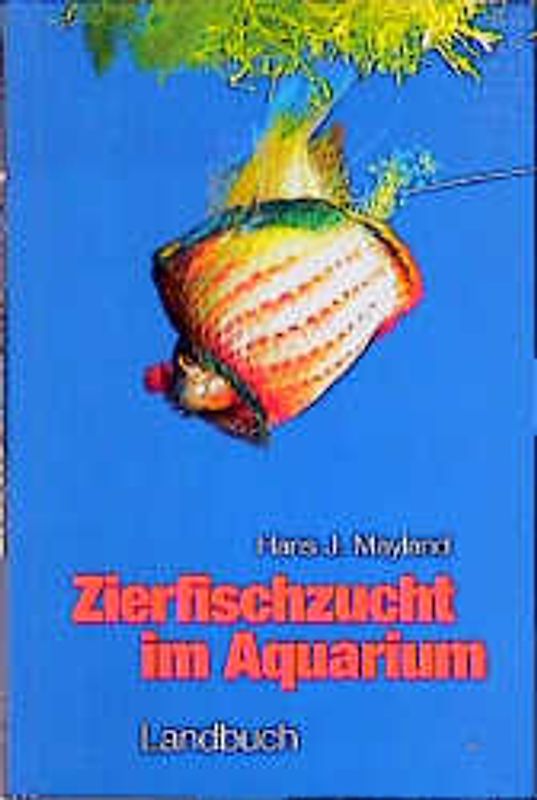 Zierfischzucht im Aquarium