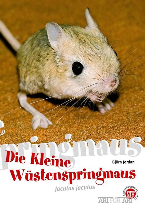Die Kleine Wüstenspringmaus