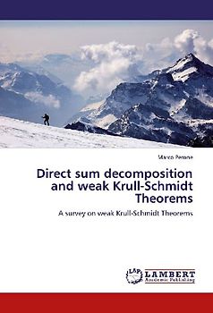 Direct sum decomposition and weak Krull-Schmidt Theorems