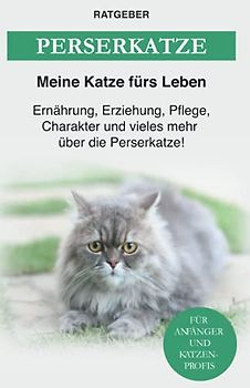 Perserkatze: Ernährung, Erziehung, Pflege, Charakter und vieles mehr über die Perserkatze