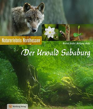 Der Urwald Sababurg - Naturerlebnis Nordhessen