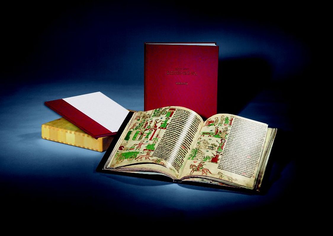 Der Heidelberger Sachsenspiegel