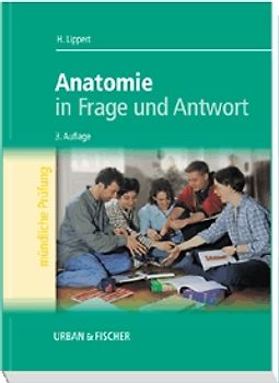 Anatomie in Frage und Antwort