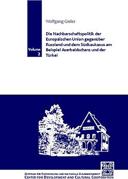 Die Nachbarschaftspolitik der Europäischen Union gegenüber Russland und dem Südkaukasus am Beispiel Aserbaidschans und der Türkei