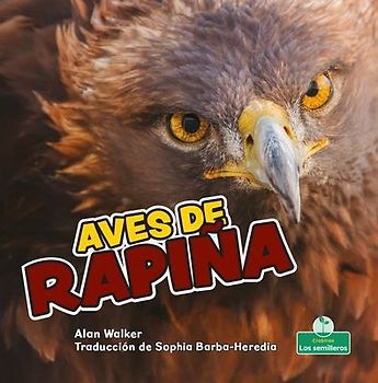 Aves de Rapiña (Birds of Prey)