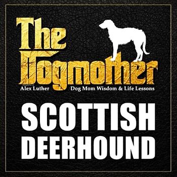 The Dogmother: Scottish Deerhound: (Dog Mom Wisdom & Life Lessons)