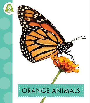 Orange Animals