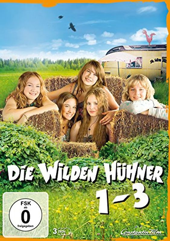 Die Wilden Hühner 1-3 DVD