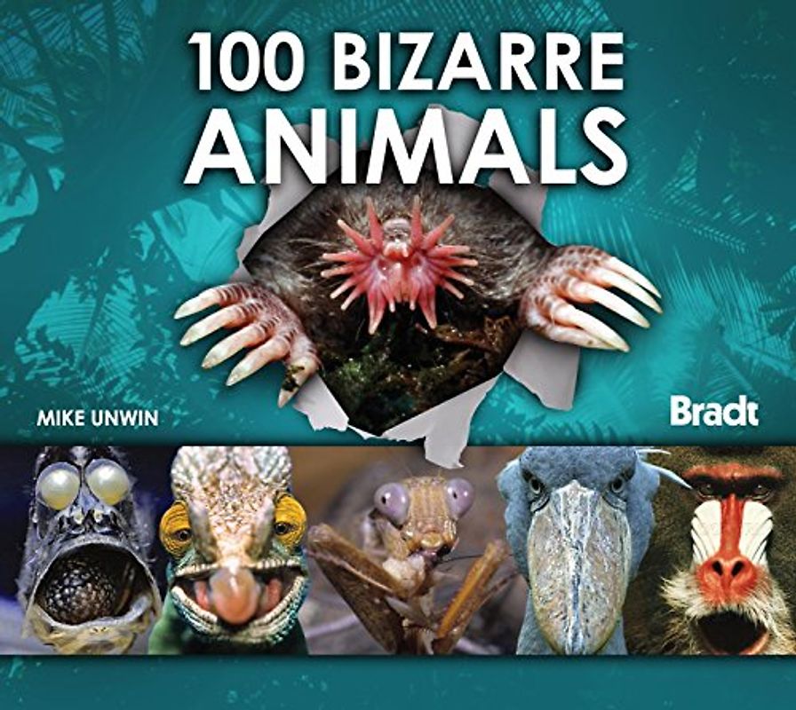 100 Bizarre Animals (Bradt Travel Guides (100 Animals)) - Unwin, Mike