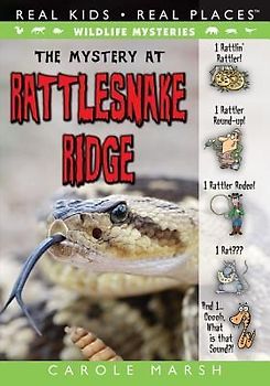The Mystery at Rattlesnake Ridge