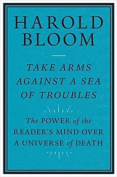 Take Arms Against a Sea of Troubles