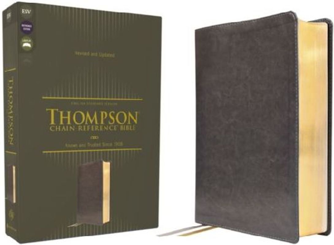 Esv, Thompson Chain-Reference Bible, Leathersoft, Gray, Red Letter