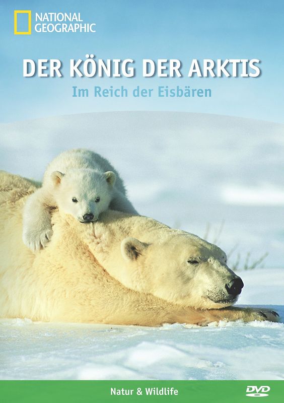 Der König der Arktis: Im Reich der Eisbären DVD