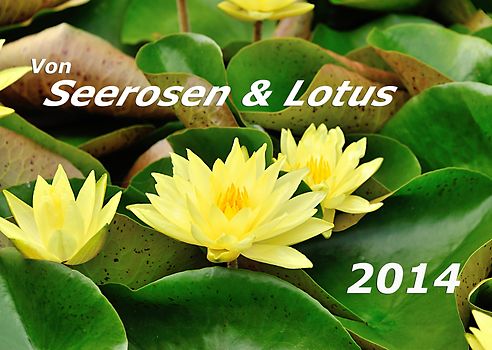 Seerosen und Lotus 2014 Kalender (DIN A3)