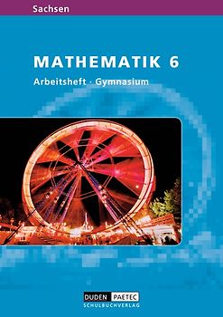 Level Mathematik - Gymnasium Sachsen / 6. Schuljahr - Arbeitsheft