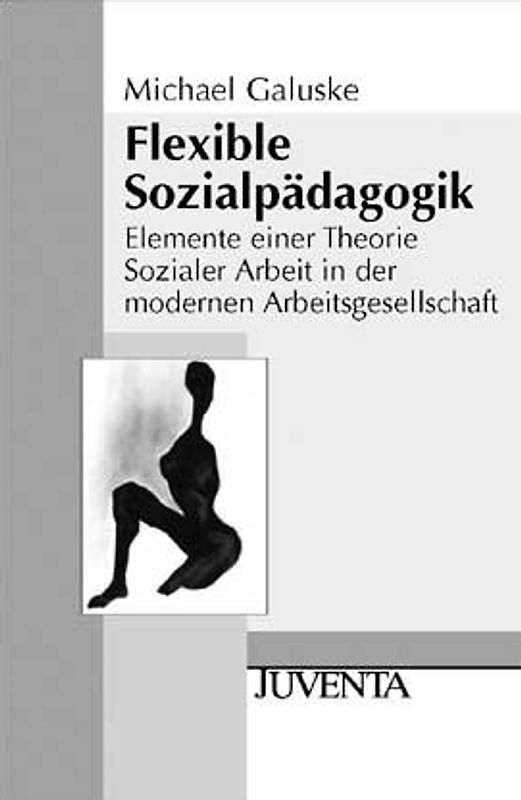 Flexible Sozialpädagogik. Elemente einer Theorie Soziale Arbeit in der modernen Arbeitsgesellschaft