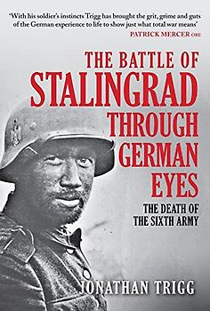 The Battle of Stalingrad Through German Eyes