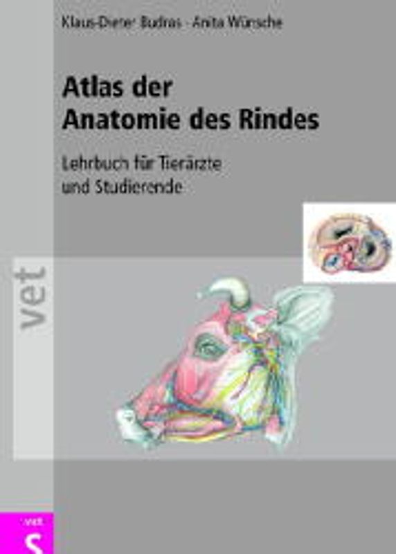 Atlas der Anatomie des Rindes