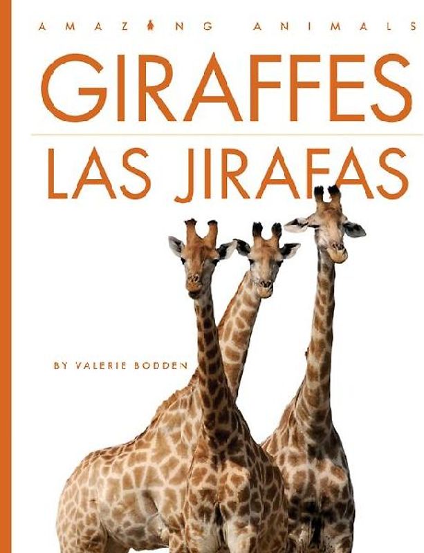Giraffes / Las Jirafas